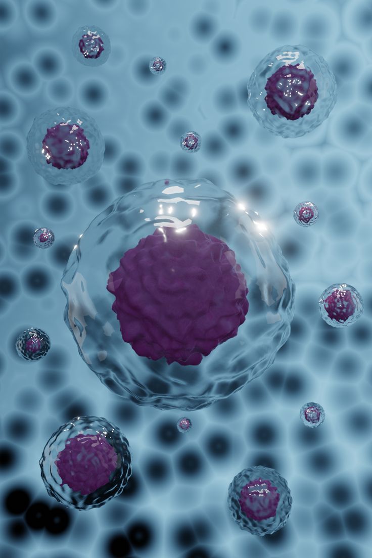 Stem Cell Therapy Gorakhpur